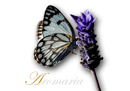 Picture for vendor Aromaria