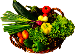 Picture of Bio Kiste - Lieferung am nächsten Samstag 9:30 Uhr